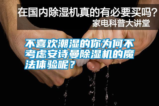 不喜歡潮濕的你為何不考慮安詩(shī)曼除濕機的魔法體驗呢？