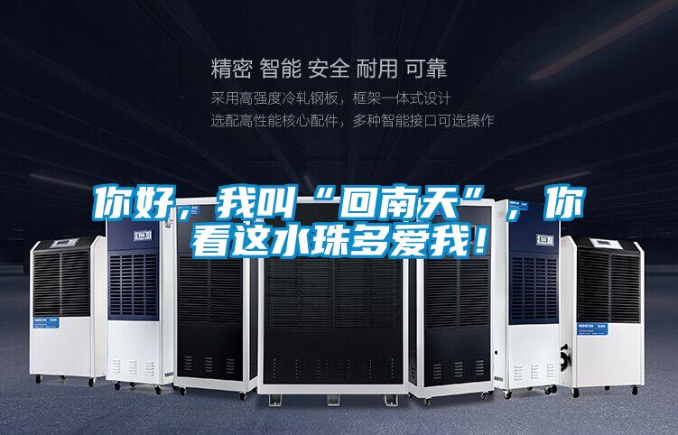 你好，我叫“回南天”，你看這水珠多愛(ài)我！