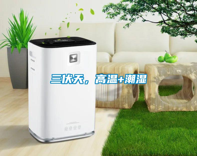三伏天，高溫+潮濕