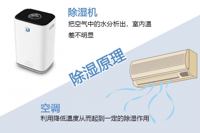 使用除濕機對于哮喘有什么幫助？