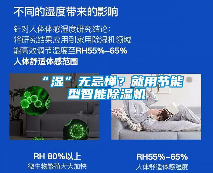 “濕”無(wú)忌憚？就用節能型智能除濕機