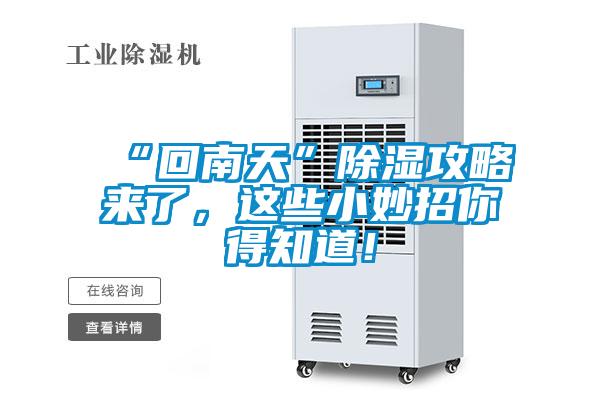 “回南天”除濕攻略來(lái)了，這些小妙招你得知道！