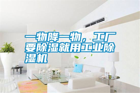 一物降一物，工廠(chǎng)要除濕就用工業(yè)除濕機