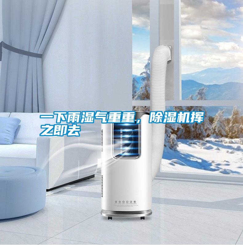 一下雨濕氣重重，除濕機揮之即去