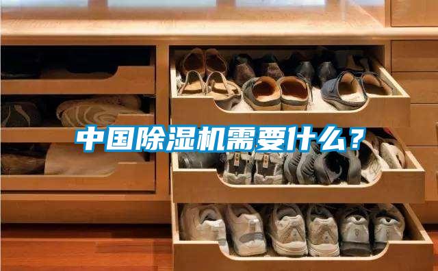 中國除濕機需要什么？