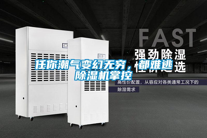 任你潮氣變幻無(wú)窮，都難逃除濕機掌控