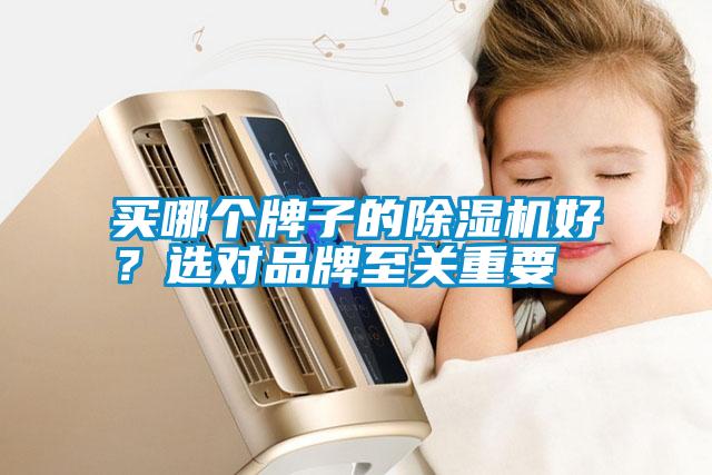 買(mǎi)哪個(gè)牌子的除濕機好？選對品牌至關(guān)重要