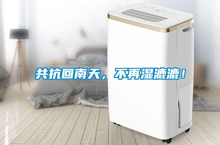 共抗回南天，不再濕漉漉！