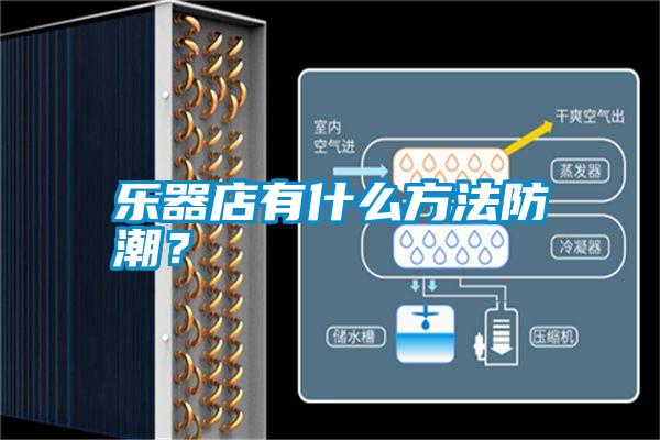 樂(lè )器店有什么方法防潮？
