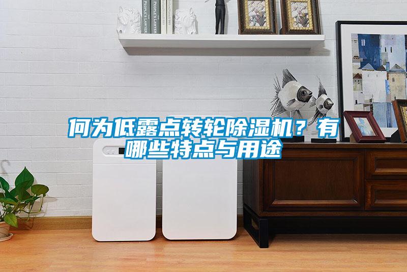 何為低露點(diǎn)轉輪除濕機？有哪些特點(diǎn)與用途