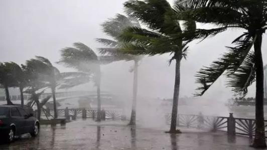 8月臺風(fēng)雨即將來(lái)，除濕機還得用起來(lái)