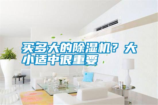 買(mǎi)多大的除濕機？大小適中很重要