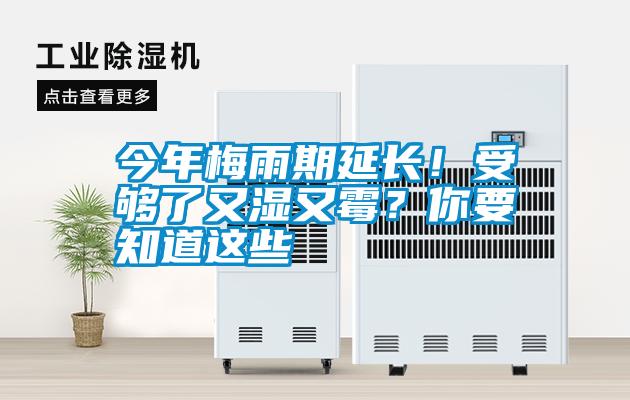 今年梅雨期延長(cháng)！受夠了又濕又霉？你要知道這些