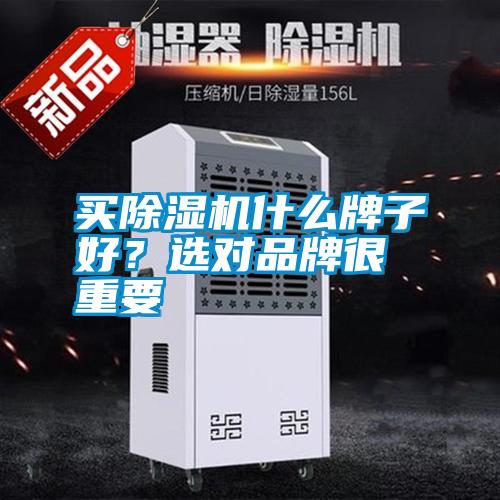 買(mǎi)除濕機什么牌子好？選對品牌很重要
