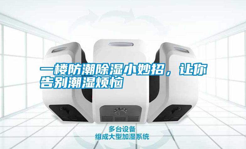 一樓防潮除濕小妙招，讓你告別潮濕煩惱
