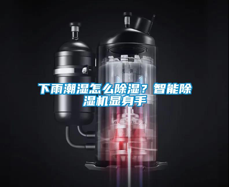 下雨潮濕怎么除濕？智能除濕機顯身手