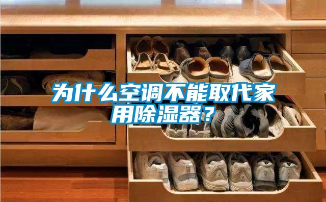 為什么空調不能取代家用除濕器？