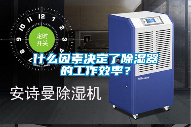 什么因素決定了除濕器的工作效率？