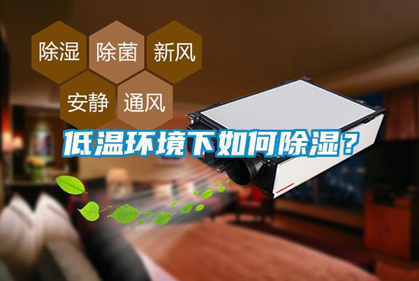 低溫環(huán)境下如何除濕？