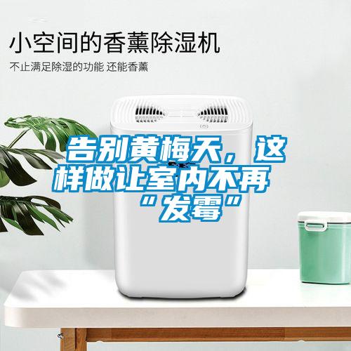 告別黃梅天，這樣做讓室內不再“發(fā)霉”