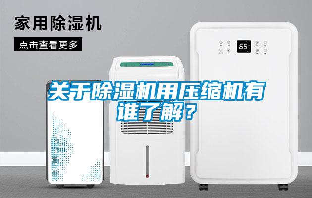 關(guān)于除濕機用壓縮機有誰(shuí)了解？