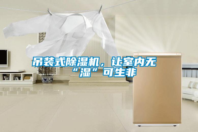吊裝式除濕機，讓室內無(wú)“濕”可生非