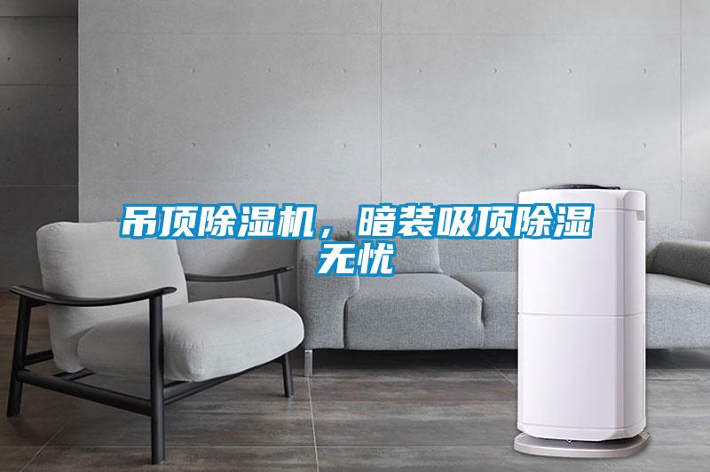 吊頂除濕機，暗裝吸頂除濕無(wú)憂(yōu)