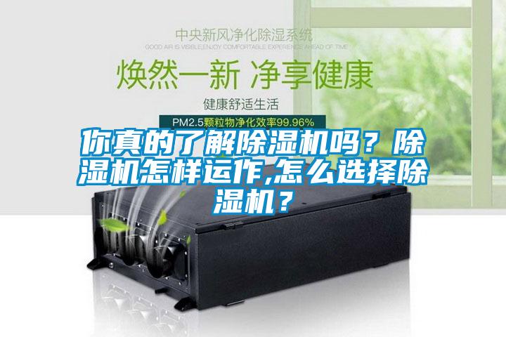 你真的了解除濕機嗎？除濕機怎樣運作,怎么選擇除濕機？