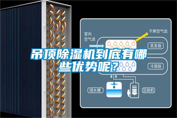 吊頂除濕機到底有哪些優(yōu)勢呢？