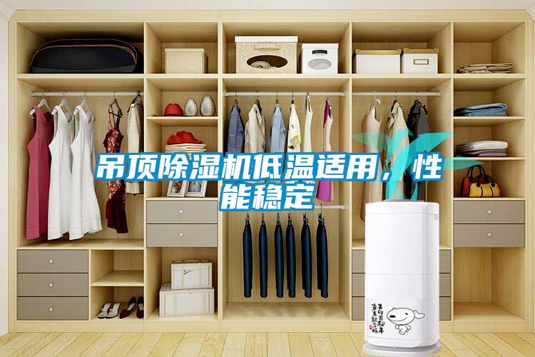 吊頂除濕機低溫適用，性能穩定