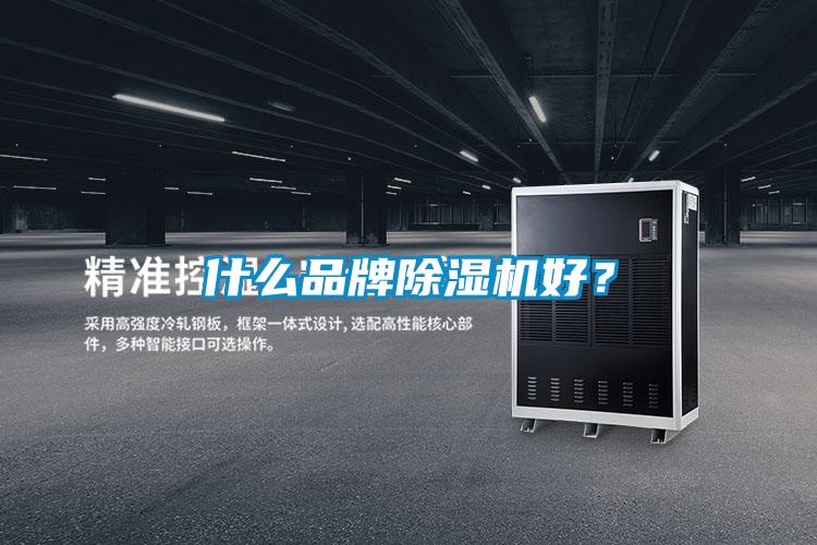 什么品牌除濕機好？