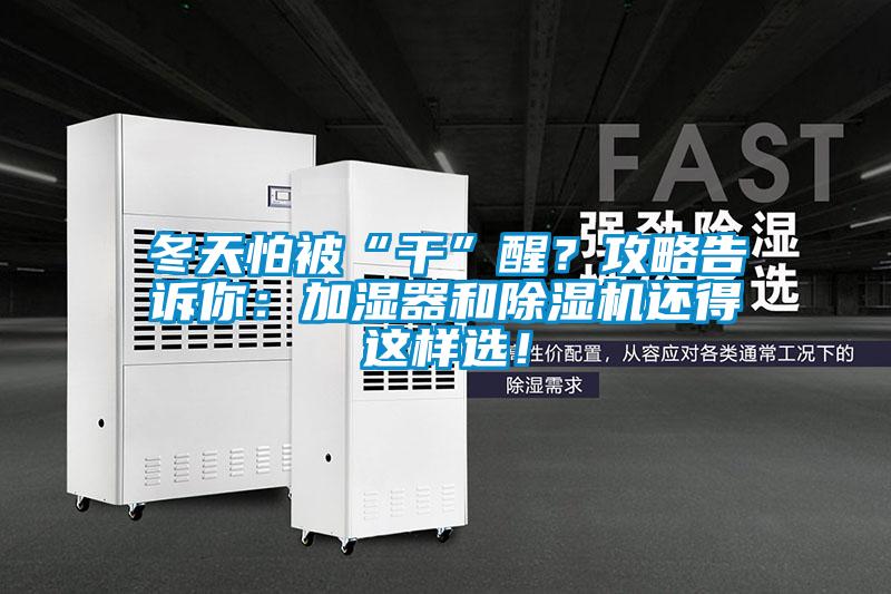 冬天怕被“干”醒？攻略告訴你：加濕器和除濕機還得這樣選！