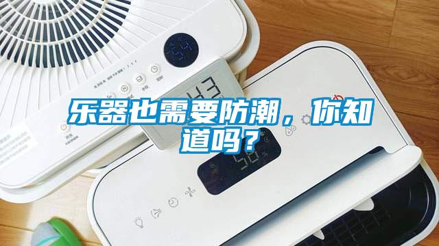 樂(lè )器也需要防潮，你知道嗎？