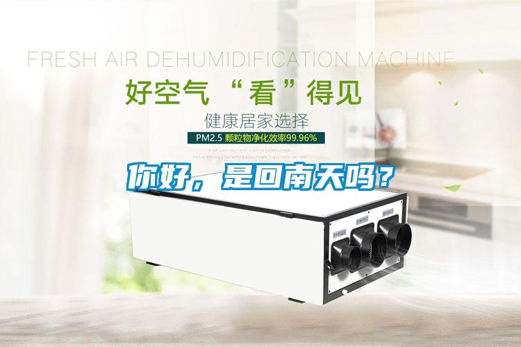 你好，是回南天嗎？