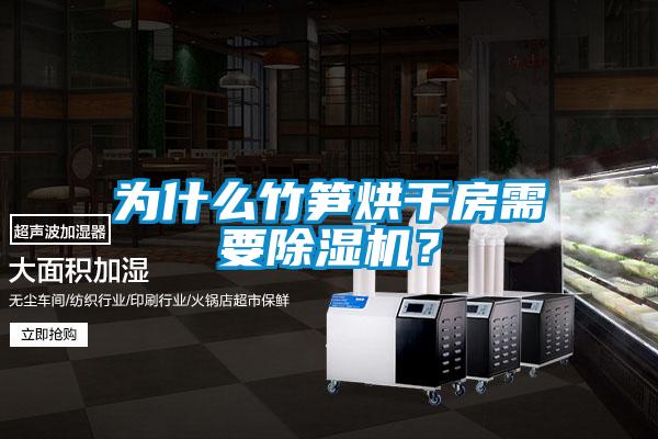 為什么竹筍烘干房需要除濕機？