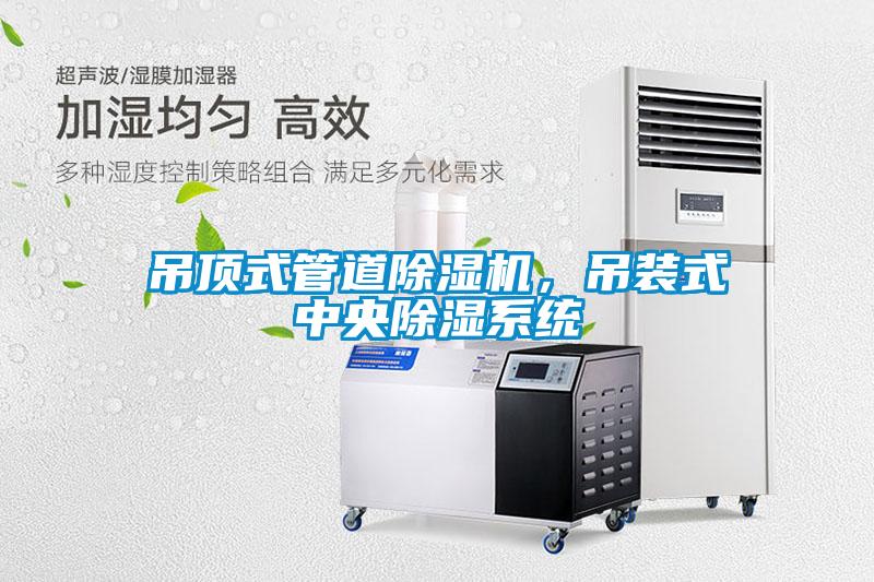 吊頂式管道除濕機，吊裝式中央除濕系統