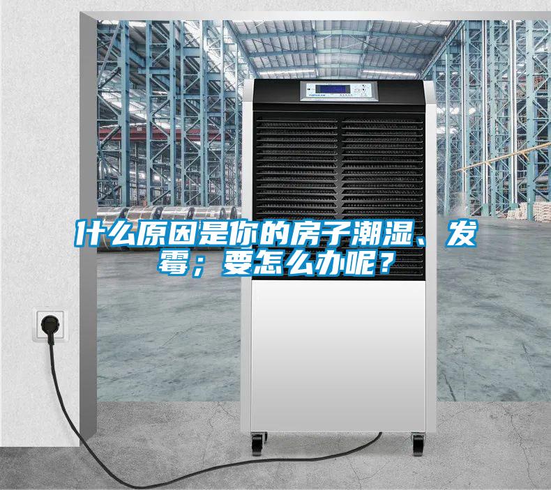 什么原因是你的房子潮濕、發(fā)霉；要怎么辦呢？