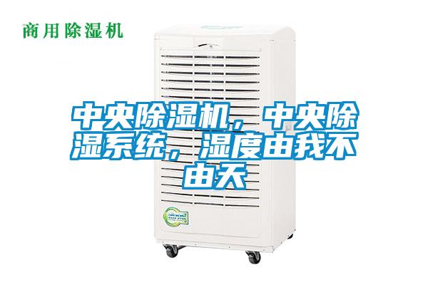 中央除濕機，中央除濕系統，濕度由我不由天