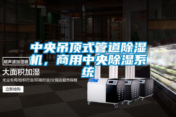 中央吊頂式管道除濕機，商用中央除濕系統