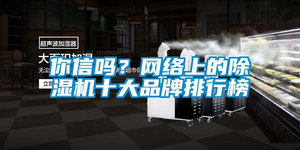 你信嗎？網(wǎng)絡(luò )上的除濕機十大品牌排行榜