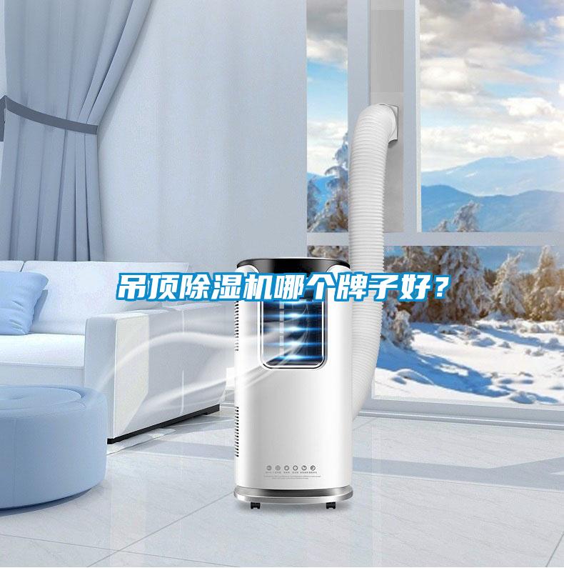 吊頂除濕機哪個(gè)牌子好？