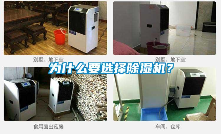 為什么要選擇除濕機？