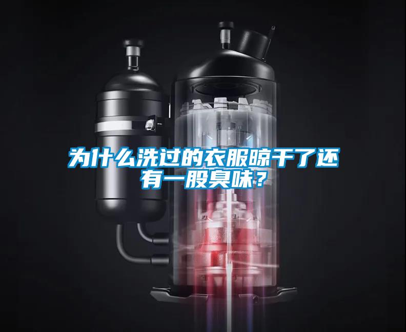 為什么洗過(guò)的衣服晾干了還有一股臭味？