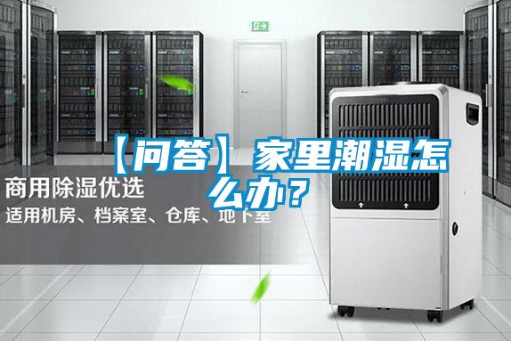 【問(wèn)答】家里潮濕怎么辦？