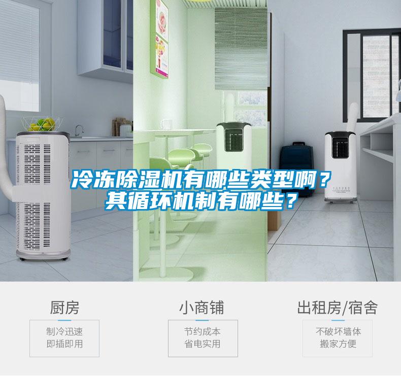 冷凍除濕機有哪些類(lèi)型??？其循環(huán)機制有哪些？