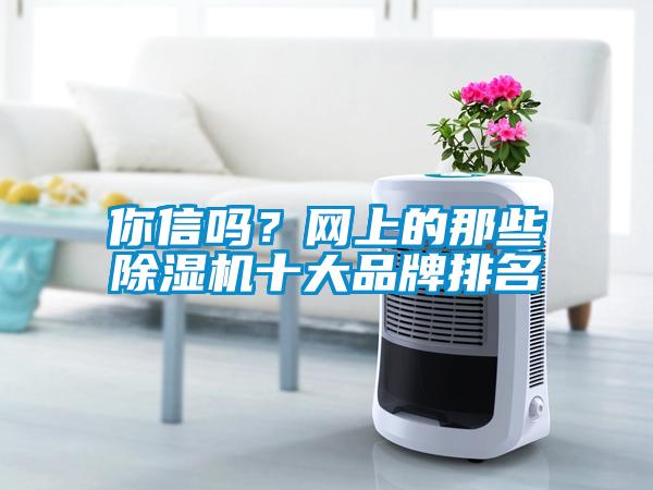 你信嗎？網(wǎng)上的那些除濕機十大品牌排名
