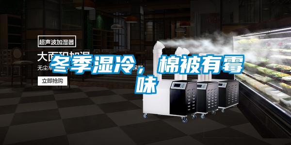 冬季濕冷，棉被有霉味