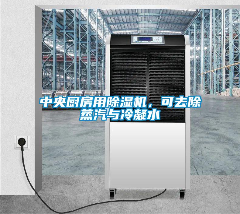 中央廚房用除濕機，可去除蒸汽與冷凝水
