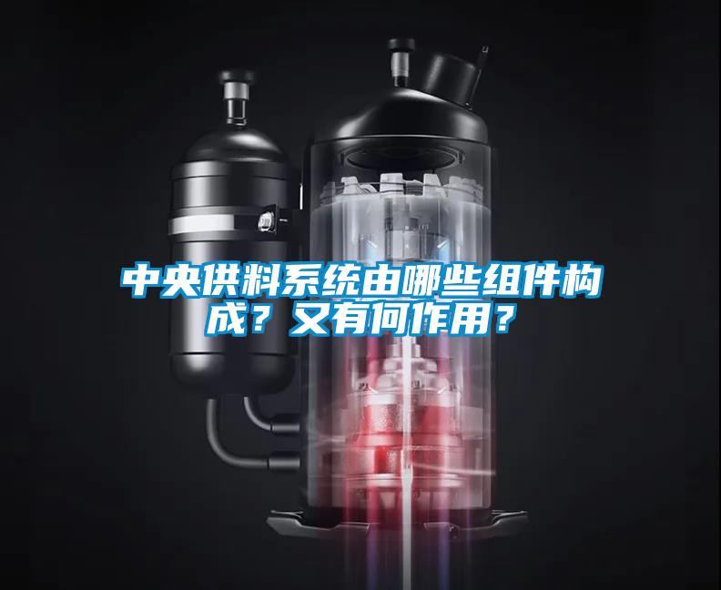 中央供料系統由哪些組件構成？又有何作用？
