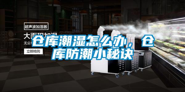 倉庫潮濕怎么辦，倉庫防潮小秘訣